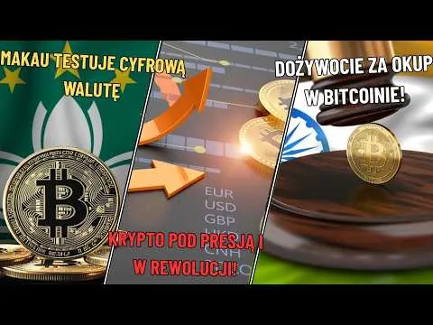 Ethereum rośnie, altcoiny w akumulacji, a Gucci i Indie wstrząsają rynkiem krypto [Rekordy Kradzieży i Nowi Gracze]