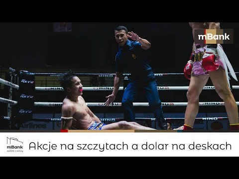 widoki z wieży #114 Akcje na szczytach, a dolar na deskach [Akcje, obligacje, dolar i AI]