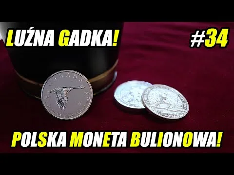 #34 Luźna Gadka! – Polska, srebrna moneta bulionowa – jak powinna wyglądać? Podsumowanie wyników! [Polska Moneta Bulionowa Srebrna]