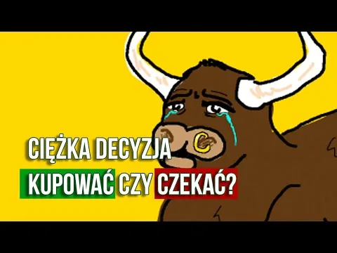 Kupować czy trzymać się z dala od polskich akcji? [Polskie akcje i WIG20]