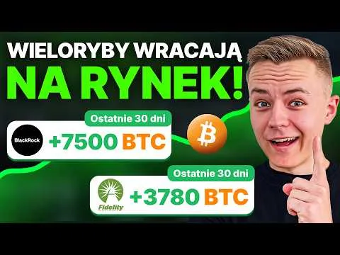 Bitcoin odbija, a ETF-y kupują! Czy dołek już za nami? [Analiza on-chain i ETF]