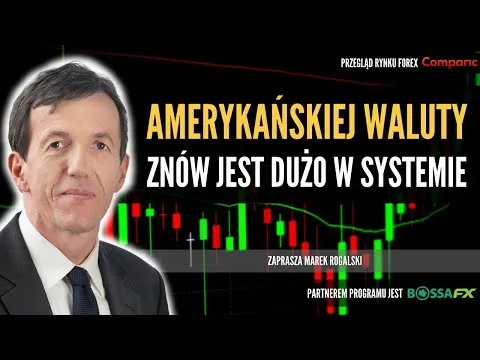 Dlaczego problemy banków nie ruszają dolara? | Świat walut Marka Rogalskiego | 27.03.2023 [Dolar, banki, inflacja, SP500]