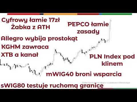 Perspektywy rynku – przegląd spółek z mWIG40, WIG20 i indeksów [Analiza WIG20, mWIG40 i Forex]