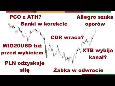 Perspektywy rynku – przegląd spółek z mWIG40, WIG20 i indeksów [Analiza złota, ropy i forex]
