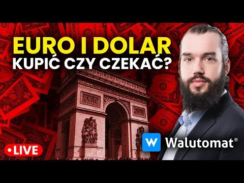 Euro i dolar po dużych spadkach! Czas na zakupy walut? [Dolar, euro, funt, PLN]