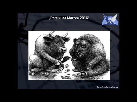Moje Inwestycje w Akcje PL „Luty 2016" [Portfel i Analiza Spółek]