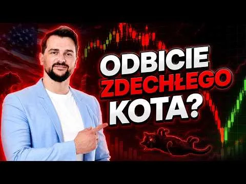 Odbicie zdechłego kota czy powrót wzrostów? Fatalne dane z USA! Giełda już wie, co zrobi Fed? [Analiza WIG20 i półprzewodników]