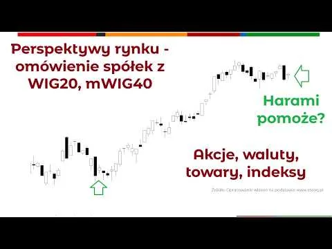 Perspektywy rynku – przegląd spółek z mWIG40, WIG20 i indeksów [Analiza WIG20 i mWIG40]