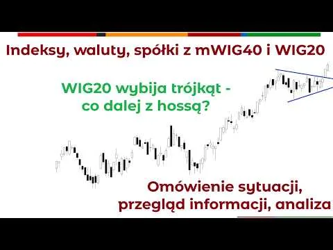 Perspektywy rynku – przegląd spółek z mWIG40, WIG20 i indeksów [Analiza WIG20 i mWIG40]